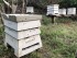 Beegin concrete hives