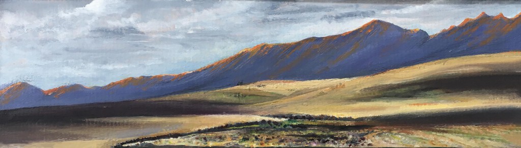 Overberg Shadows 8x28cm oil on paper
