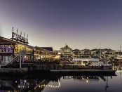 V&A Waterfront (1)