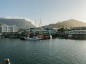 V&A Waterfront NYE 2024-01795lr (1)