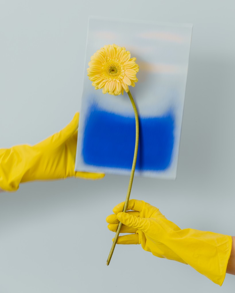 Butter_And_Sky_Shot02_Inspo_Detail_PLASCON_Colour_Forecast_071