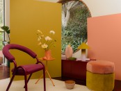 Orchard_And_Blooms_Shot01_Full_Set_PLASCON_Colour_Forecast_011
