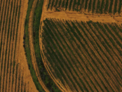 Aerial shot
