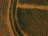 Aerial shot