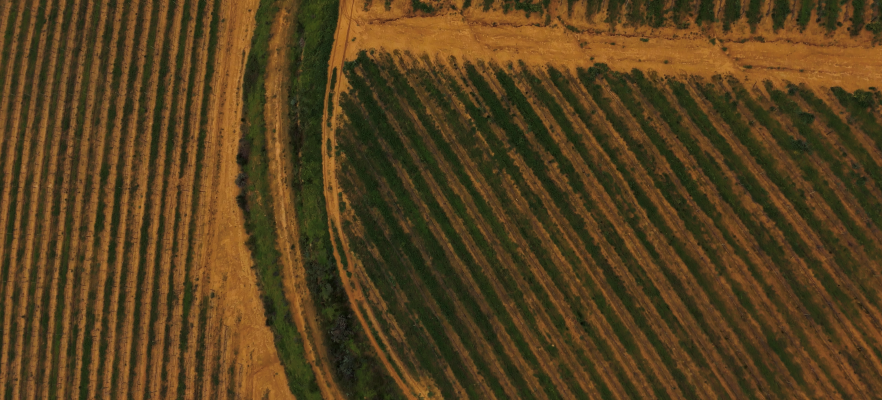 Aerial shot