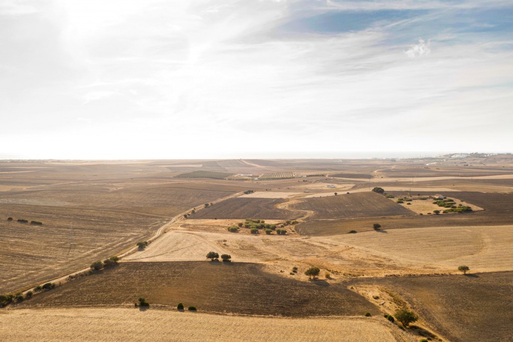 long-shot-beautiful-fields-crops-taken-by-drone (1)